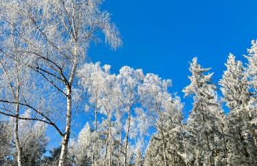 Naturidylle Vogtland - Erholsame Ferienwohnungen im Grünen - Foto 14
