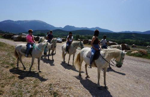 Panoramic Xalet la Molina con Vistas Excelentes - Foto 68