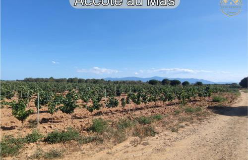 MAS M - Villa d'exception - Piscine - Jeux Enfants - BBQ - Plancha - Cheminée - Calme - 5 Chambres - SUDSEJOURCONCIERGERIE - Foto 44