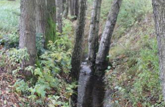 ZumSeehörnchen Haus Schmetterling - Foto 28