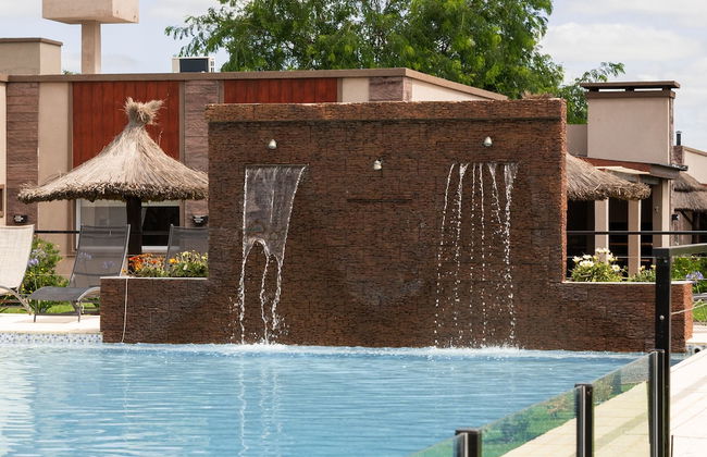 Olivos de Monte - Foto 38