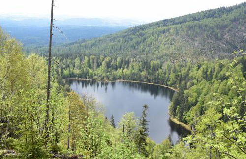 Musik und Natur - Balboo - Bayrischer Wald - Sauna - Pool - Grillen - Foto 13