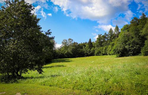 Stacja Żubracze - Foto 32