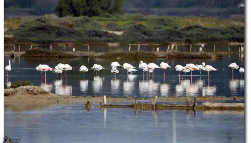 Studio indépendant tout confort pour 4 personnes 25 m carrés - Foto 5