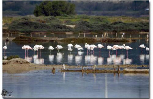 Studio indépendant tout confort pour 4 personnes 25 m carrés - Foto 5