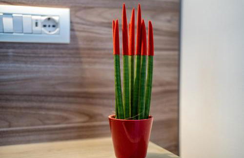 Casa Don Mimì - Photo 20