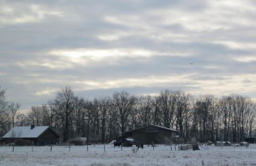 Haflingerhof Heed - Foto 10