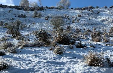 The Snug in Cheltenham, Leckhampton - A Cosy & Unique Space - Photo 30