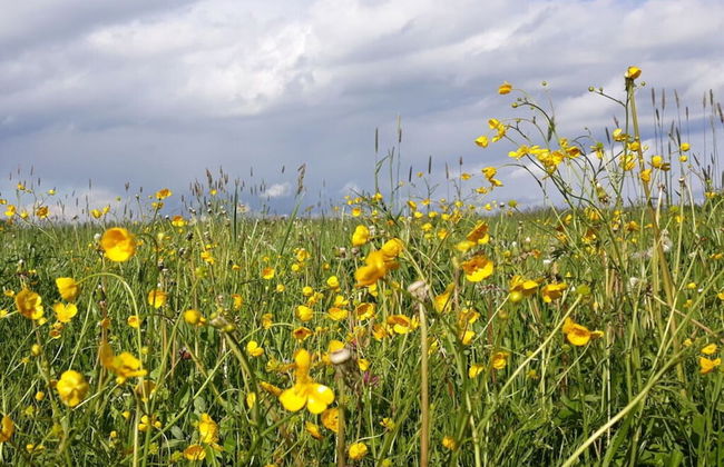 Schleichhof Ammersee - Foto 26