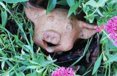 Au cochon qui rit - Foto 19
