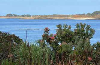 Holiday Home VILLA Kergoz by Interhome - Foto 11