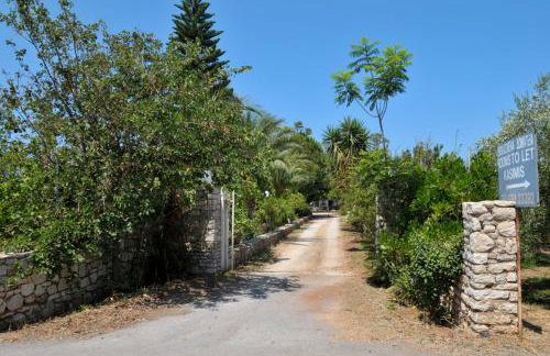 Sani Kasimis - Foto 34