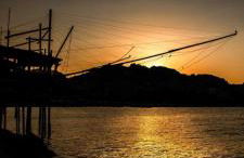 La Magnolia a 500mt dal mare - Foto 49