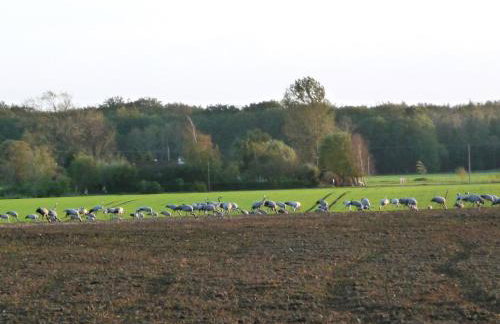 Ferienwohnung III - Foto 32