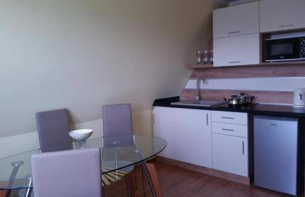 Apartament z widokiem na góry - Foto 4