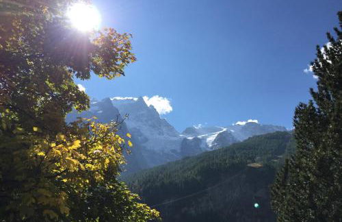 Les Enfetchores - apartment overlooking la Meije - Photo 40