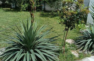 Elizabeth's apartment1 - Foto 10