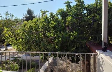 Fotini's House - Foto 25