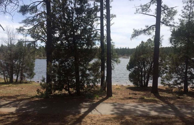 The Nook Pinetop - Foto 43