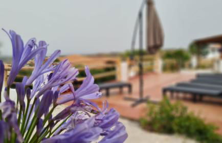 Villa Sa Mama - Foto 50