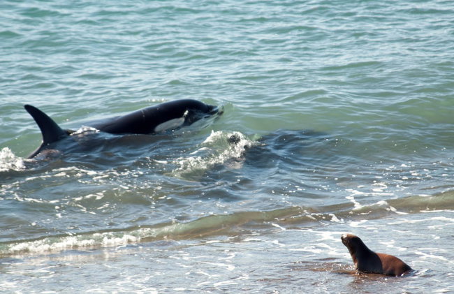Ramada Residences by Wyndham Puerto Madryn CQ Mitre - Photo 53