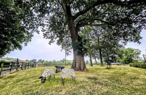 Annexe at The Chalet - A one bedroom annexe with gorgeous countryside views - Foto 11