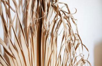 Altes Dorfhaus Sechzehneichen - Photo 18