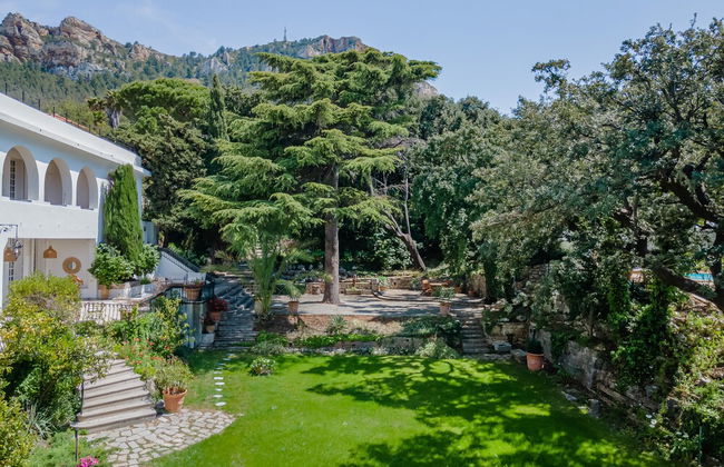 Domaine Maraspar Cassis - Photo 77