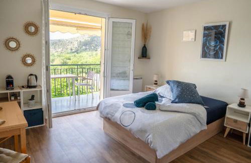 Lumineux studio-Gréoux-les-Bains - Foto 4