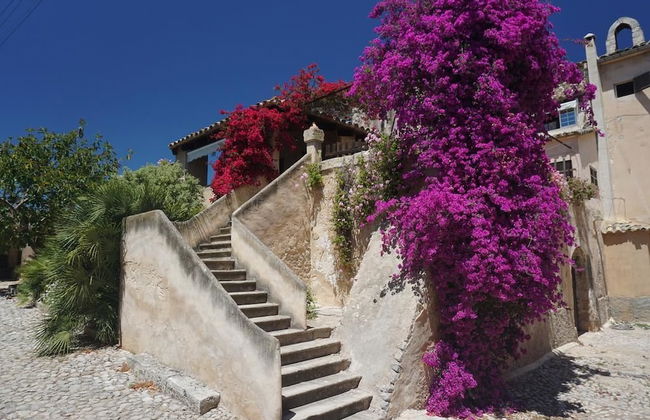 Finca Son Vivot - Photo 57