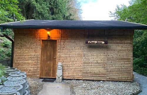 NEU! Chalet Ilztal - Foto 7