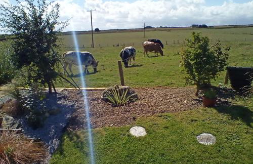 Buckton House Holiday Cottages - Foto 75