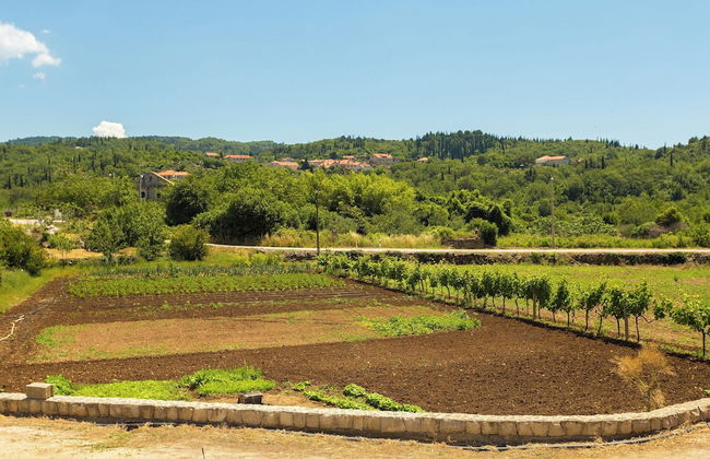 Konavle Apartments Zlatovisce 3 - Foto 17