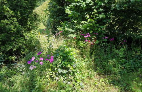 Ferienwohnung Lampertstal in Alendorf, Toskana der Eifel - Foto 39
