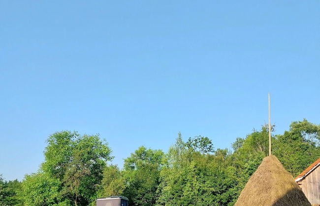 Rustic Wild Retreat IN Romania - Foto 54