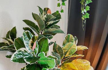 StayTime - Almond Room - Foto 12