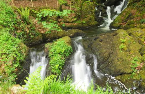 Gors Y Gader - Foto 22