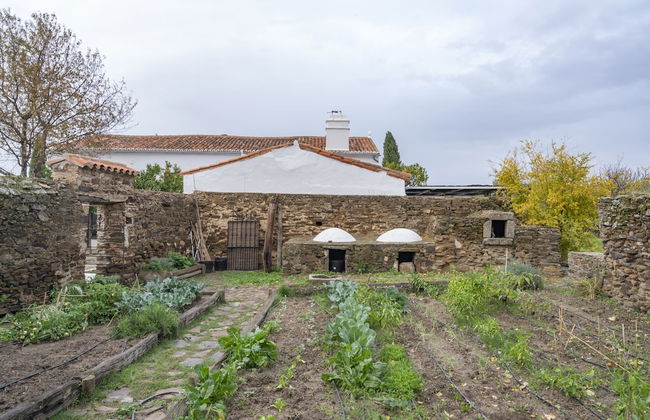 Finca El Azahar - Photo 30