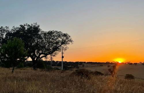 Monte Das 7 Oliveiras - Foto 68