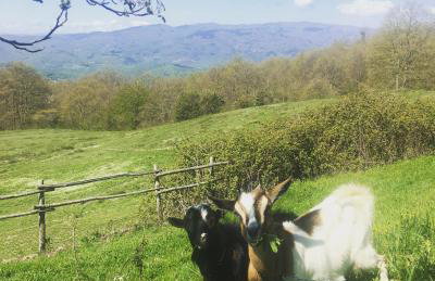 Agriturismo La Casina della Burraia - Foto 21