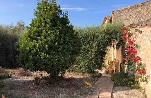 Finca es Rafal, Agroturisme - Photo 22