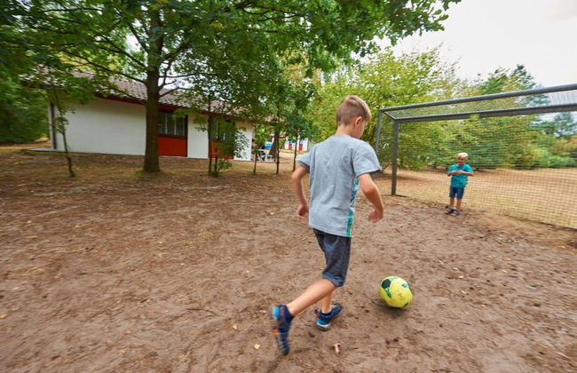 Type 4p in Uelsen With 2 Bedrooms and 1 Bathrooms - Foto 26