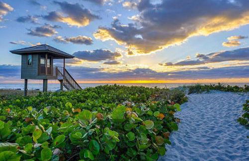 Tropical Palms House - Foto 28