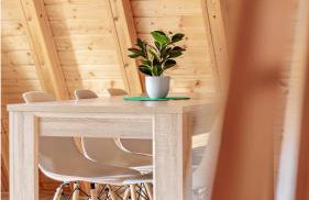 Campus Karolina BRENNO - Foto 21