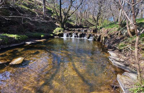 Bleasdale at Lantern and Larks - Foto 40