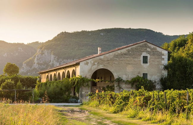 Oleandri Apartment With one Bedroom and one Bathroom on the Ground Floor With Wheelchair Access Apartment 2 - Foto 7