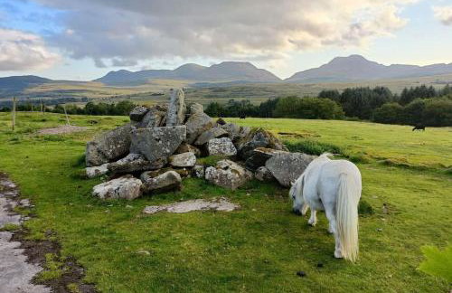 299 Willow Lodge - Foto 41