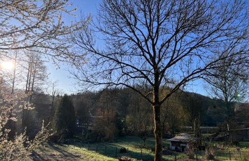 Gästehaus Sille in Morsbach - Holpe - Foto 26