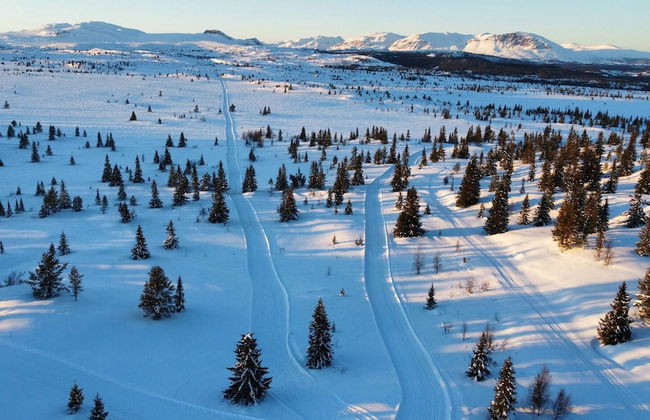 Modern Mountain Cabin - Outdoor Hot Tub - 8 Beds - Photo 53