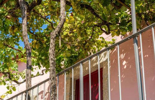 Casa Da Brêa Viana do Castelo - Villa & Apartment - Photo 37